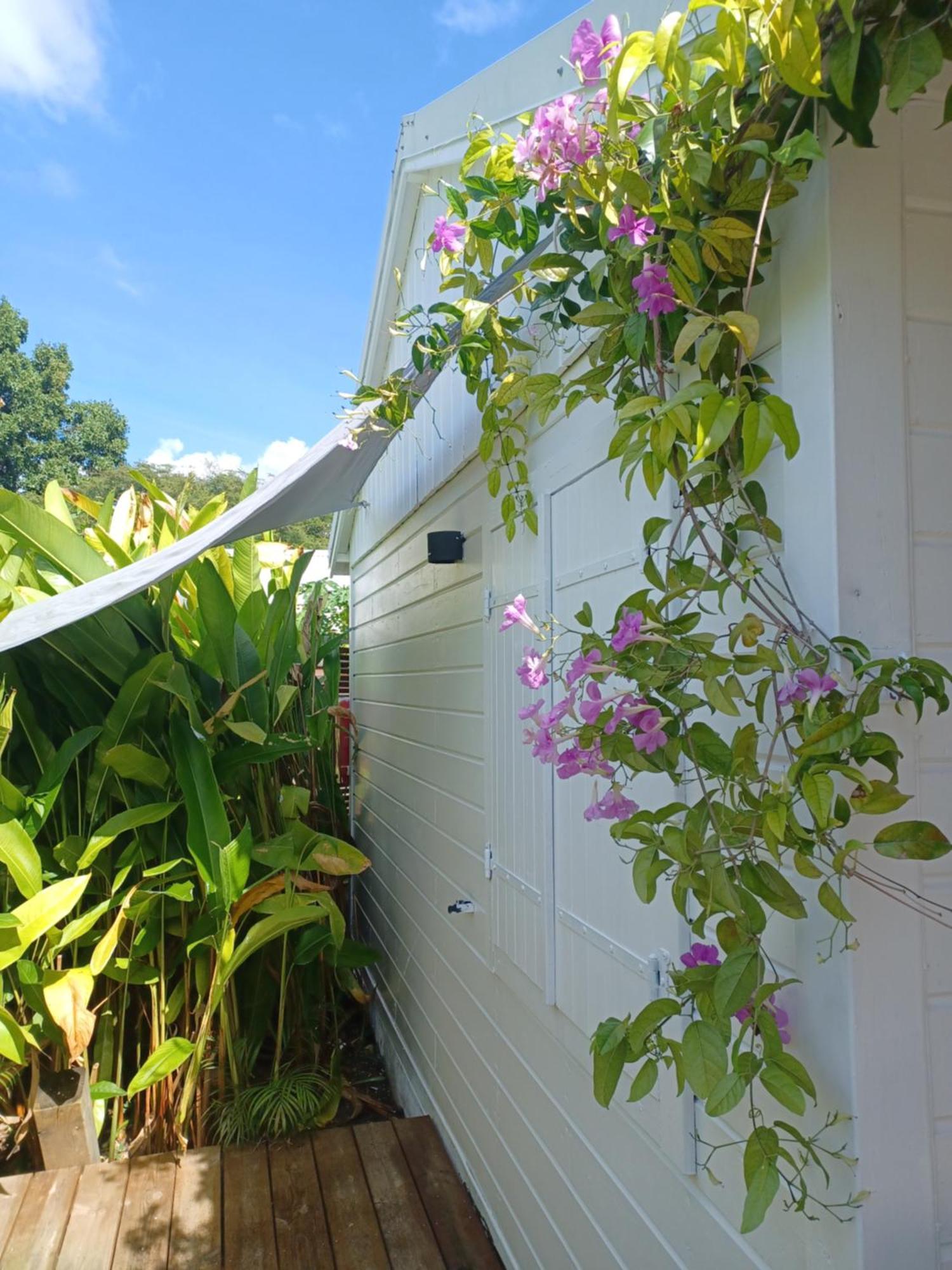 Charmant Bungalow Coco Sainte-Anne  Esterno foto